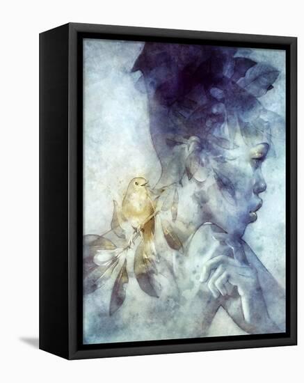 Midas-Anna Dittman-Framed Stretched Canvas