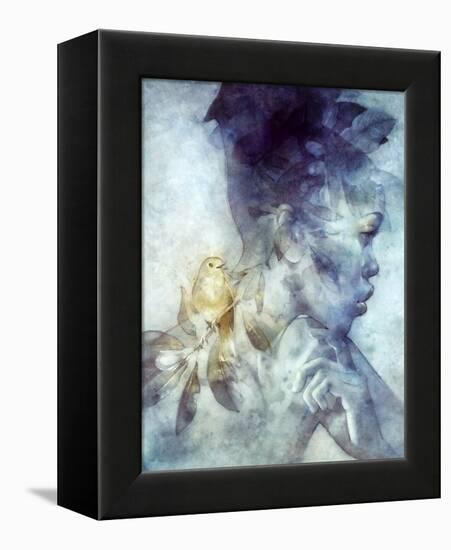 Midas-Anna Dittman-Framed Stretched Canvas