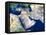 Middle East, Satellite Image-PLANETOBSERVER-Framed Premier Image Canvas