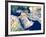 Middle East, Satellite Image-PLANETOBSERVER-Framed Photographic Print