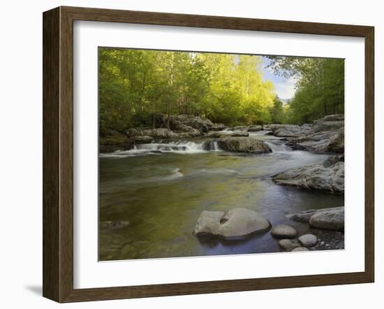 Middle Fork of the Little Pigeon River, Great Smoky Mountains National Park, Tennessee, Usa-Adam Jones-Framed Photographic Print