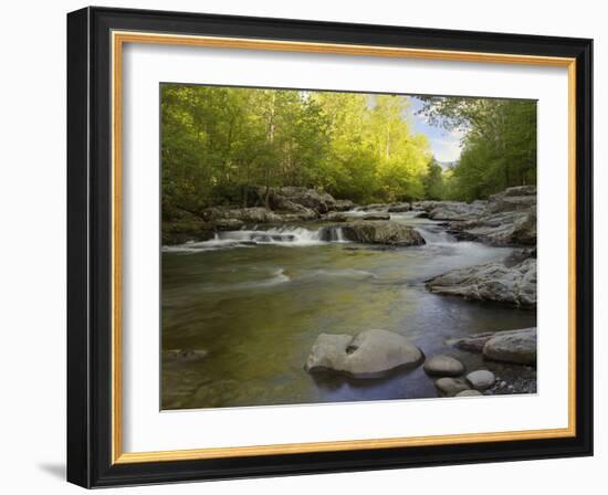 Middle Fork of the Little Pigeon River, Great Smoky Mountains National Park, Tennessee, Usa-Adam Jones-Framed Photographic Print