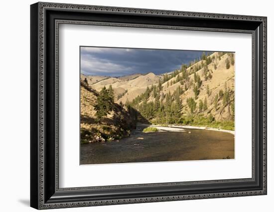 Middle Fork of the Salmon River, Frank Church River of No Return Wilderness, Idaho, Usa-John Warburton-lee-Framed Photographic Print