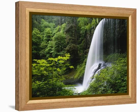 Middle North Falls, Silver Falls State Park, Oregon, USA-Adam Jones-Framed Premier Image Canvas