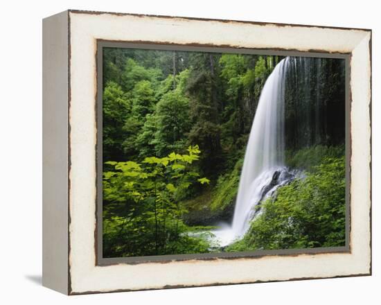 Middle North Falls, Silver Falls State Park, Oregon, USA-Adam Jones-Framed Premier Image Canvas