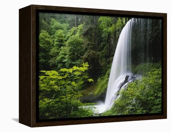 Middle North Falls, Silver Falls State Park, Oregon, USA-Adam Jones-Framed Premier Image Canvas