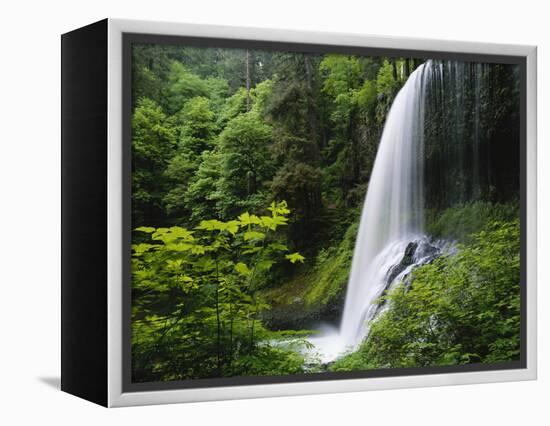 Middle North Falls, Silver Falls State Park, Oregon, USA-Adam Jones-Framed Premier Image Canvas