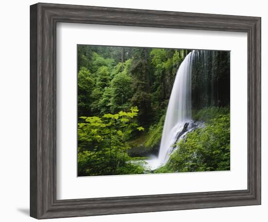 Middle North Falls, Silver Falls State Park, Oregon, USA-Adam Jones-Framed Photographic Print