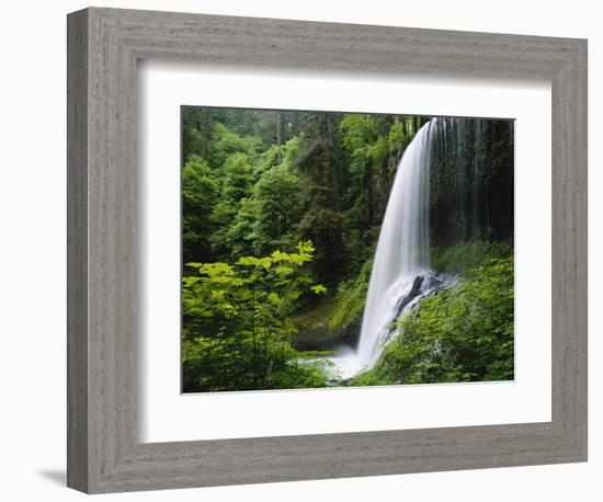 Middle North Falls, Silver Falls State Park, Oregon, USA-Adam Jones-Framed Photographic Print