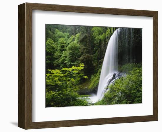 Middle North Falls, Silver Falls State Park, Oregon, USA-Adam Jones-Framed Photographic Print