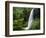 Middle North Falls, Silver Falls State Park, Oregon, USA-Adam Jones-Framed Photographic Print