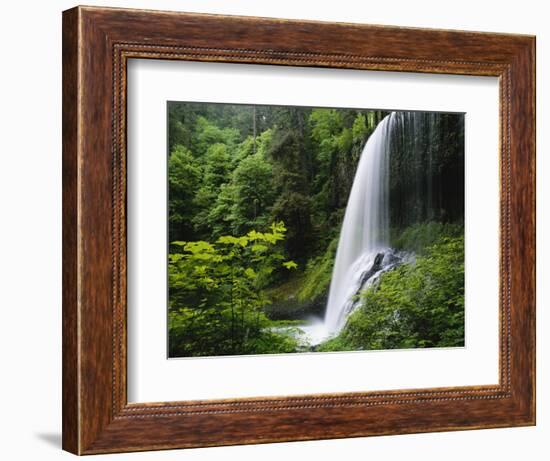 Middle North Falls, Silver Falls State Park, Oregon, USA-Adam Jones-Framed Photographic Print