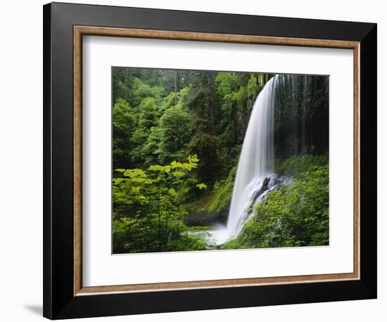 Middle North Falls, Silver Falls State Park, Oregon, USA-Adam Jones-Framed Photographic Print