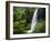 Middle North Falls, Silver Falls State Park, Oregon, USA-Adam Jones-Framed Photographic Print