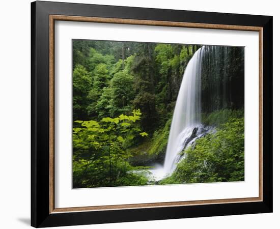 Middle North Falls, Silver Falls State Park, Oregon, USA-Adam Jones-Framed Photographic Print