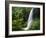 Middle North Falls, Silver Falls State Park, Oregon, USA-Adam Jones-Framed Photographic Print