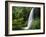 Middle North Falls, Silver Falls State Park, Oregon, USA-Adam Jones-Framed Photographic Print