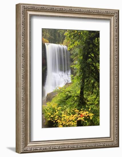 Middle North Falls, Silver Falls State Park, Oregon, USA-Jamie & Judy Wild-Framed Photographic Print