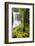 Middle North Falls, Silver Falls State Park, Oregon, USA-Jamie & Judy Wild-Framed Photographic Print