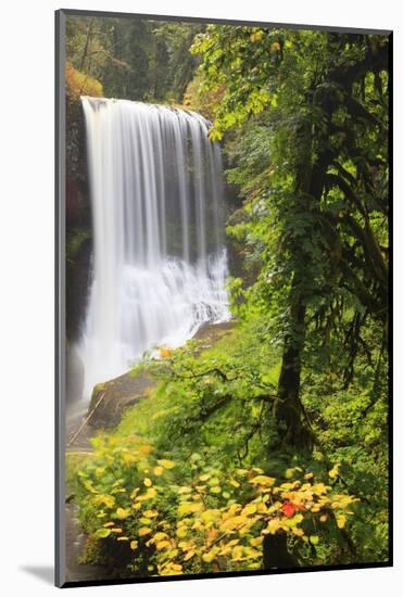 Middle North Falls, Silver Falls State Park, Oregon, USA-Jamie & Judy Wild-Mounted Photographic Print