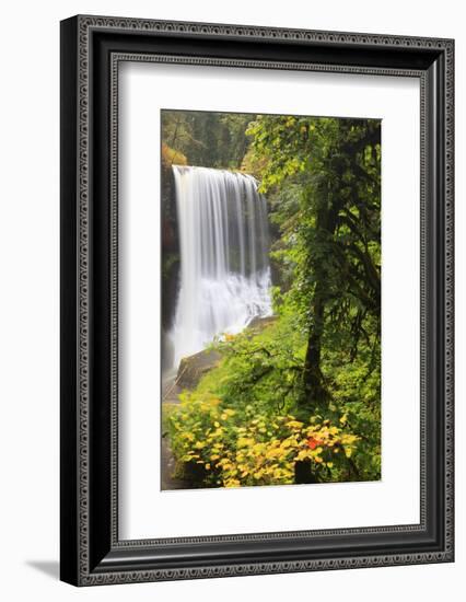 Middle North Falls, Silver Falls State Park, Oregon, USA-Jamie & Judy Wild-Framed Photographic Print