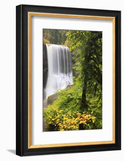 Middle North Falls, Silver Falls State Park, Oregon, USA-Jamie & Judy Wild-Framed Photographic Print