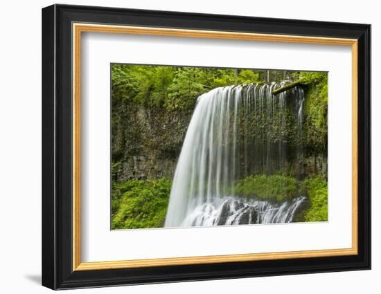 Middle North Falls, Silver Falls State Park, Oregon, Usa-Michel Hersen-Framed Photographic Print