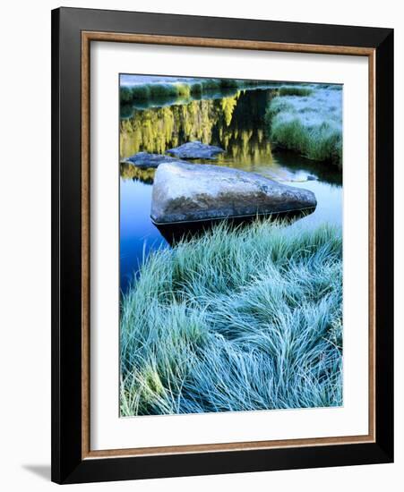 Middle Popo Agie River. Meadow in Tayo Park. Shoshone NF, Wyoming-Scott T. Smith-Framed Photographic Print