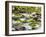 Middle Prong of the Little River, Great Smoky Mountains National Park, Tennessee, Usa-Adam Jones-Framed Photographic Print