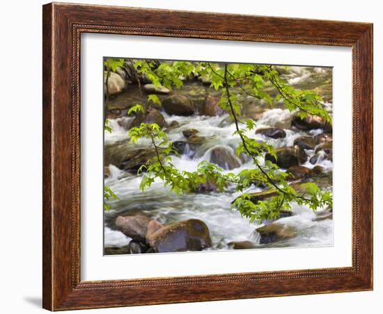 Middle Prong of the Little River, Great Smoky Mountains National Park, Tennessee, Usa-Adam Jones-Framed Photographic Print
