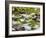 Middle Prong of the Little River, Great Smoky Mountains National Park, Tennessee, Usa-Adam Jones-Framed Photographic Print