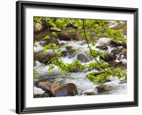 Middle Prong of the Little River, Great Smoky Mountains National Park, Tennessee, Usa-Adam Jones-Framed Photographic Print