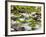 Middle Prong of the Little River, Great Smoky Mountains National Park, Tennessee, Usa-Adam Jones-Framed Photographic Print