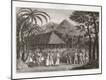 Photographic Print