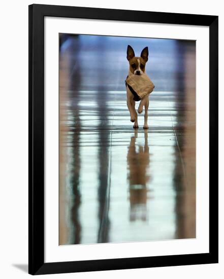 Photographic Print, , large