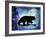 Midnight Bear-LightBoxJournal-Framed Giclee Print