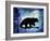 Midnight Bear-LightBoxJournal-Framed Giclee Print