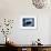 Midnight Bear-LightBoxJournal-Framed Giclee Print displayed on a wall
