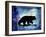 Midnight Bear-LightBoxJournal-Framed Giclee Print