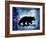 Midnight Bear-LightBoxJournal-Framed Giclee Print