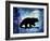 Midnight Bear-LightBoxJournal-Framed Giclee Print