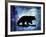 Midnight Bear-LightBoxJournal-Framed Giclee Print