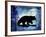 Midnight Bear-LightBoxJournal-Framed Giclee Print