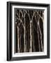 Midnight Birches I-Jade Reynolds-Framed Art Print