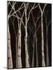 Midnight Birches II-Jade Reynolds-Mounted Art Print