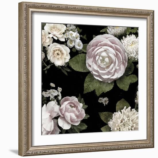 Midnight Blooms-Alan Lambert-Framed Giclee Print