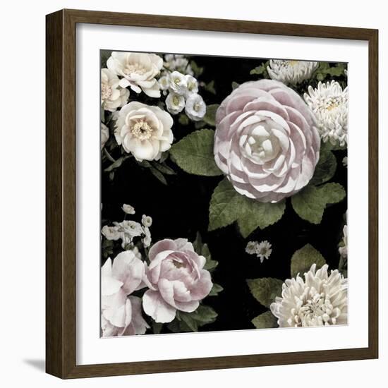 Midnight Blooms-Alan Lambert-Framed Giclee Print