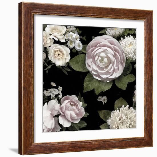 Midnight Blooms-Alan Lambert-Framed Giclee Print