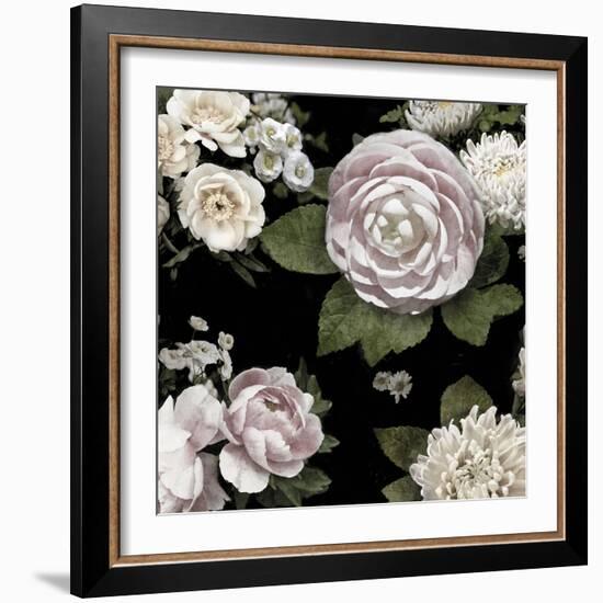 Midnight Blooms-Alan Lambert-Framed Giclee Print