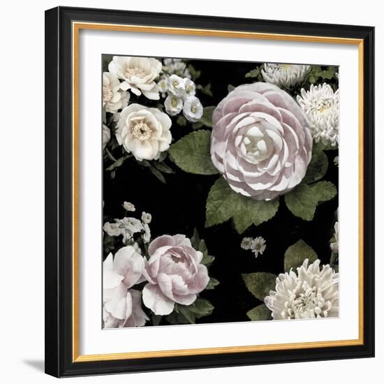 Midnight Blooms-Alan Lambert-Framed Giclee Print